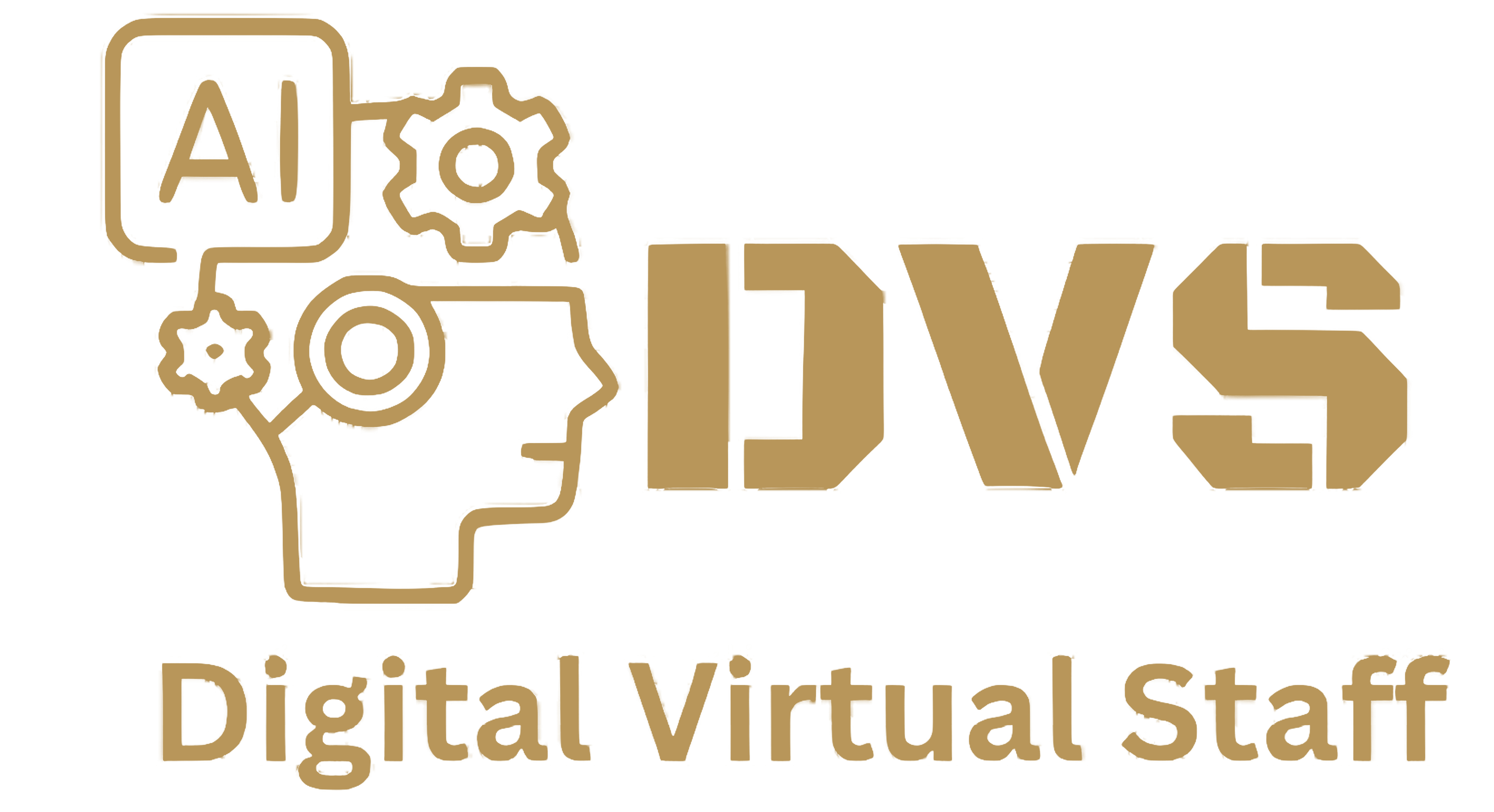DVSSPL   Digital Virtual Staff